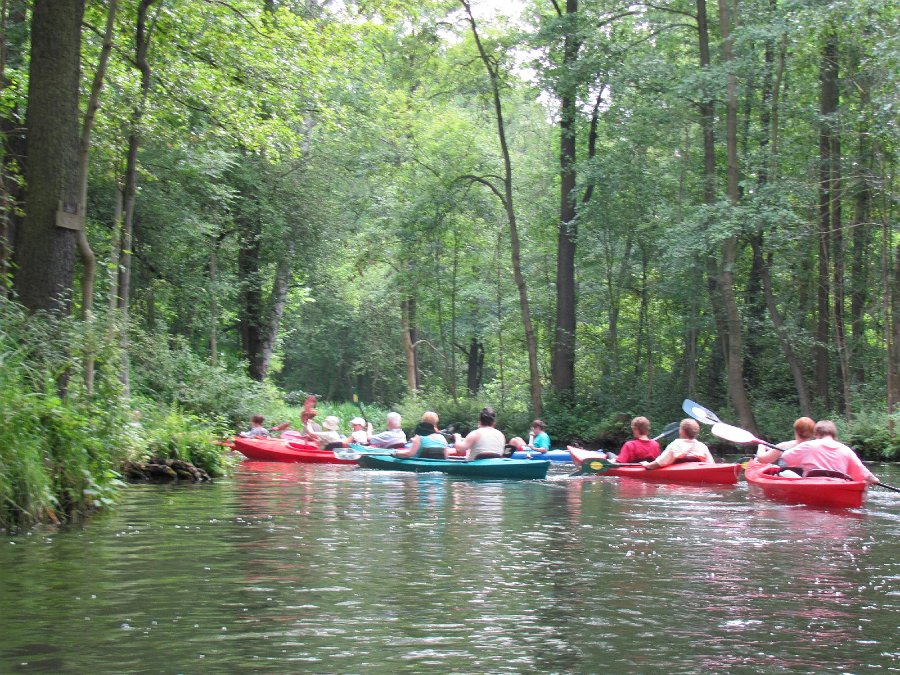 Spreewald 2011 017.jpg